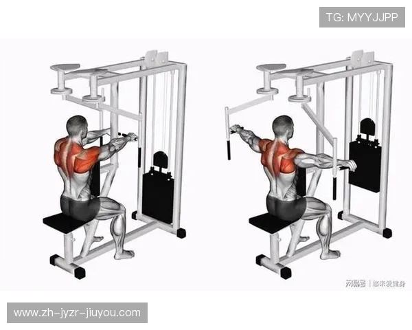 飞鸟凳健身器材使用全解 胸肩复合动作训练利器
